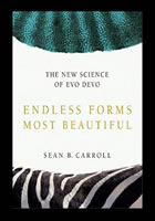 Book cover for Endless Forms Most Beautiful by Carroll