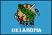 Oklahoma State Flag